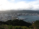 thumbnail of "Wellington And The Harbor From Mount Victoria"