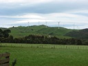 thumbnail of "Wind Farm"