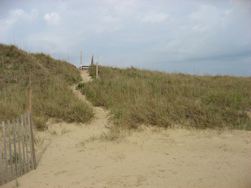 Winding Beach Path