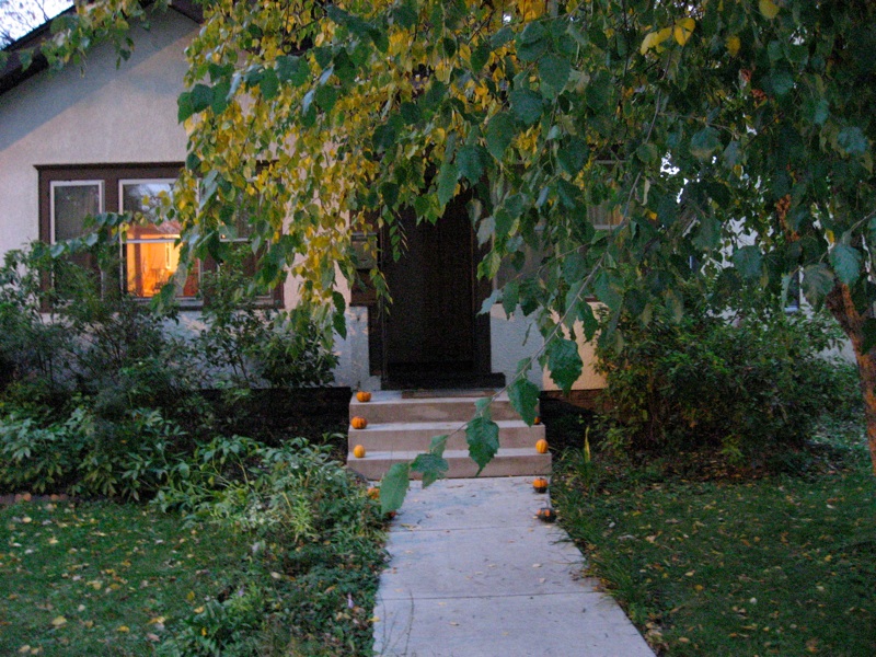 Pumpkin Walkway