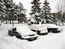 thumbnail of "Snowy Cars"