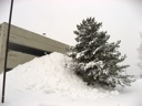 thumbnail of "Snowy Tree And Parking Ramp"