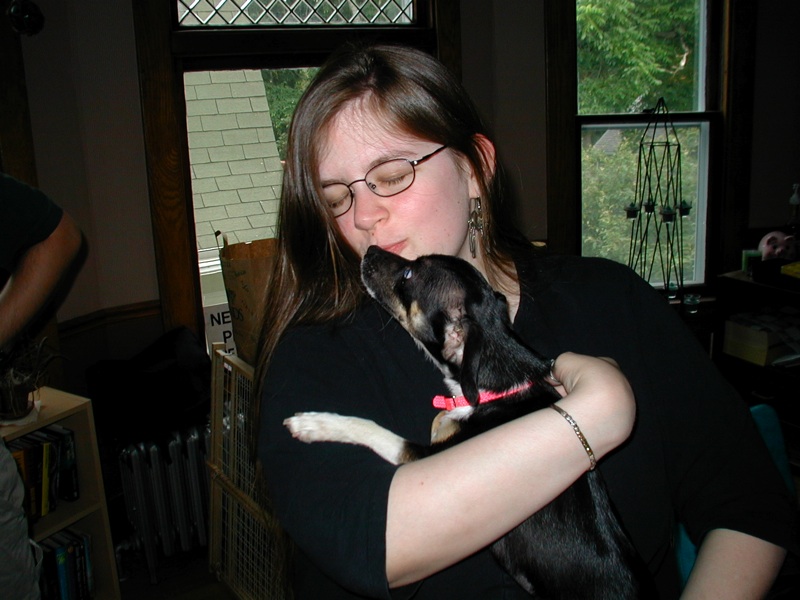 Abby & Pirate - 1