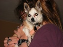 thumbnail of "Abby Holds Coco - 1"