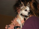 thumbnail of "Abby Holds Coco - 2"