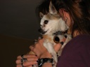 thumbnail of "Abby Holds Coco - 3"