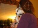 thumbnail of "Abby Holds Coco - 5"