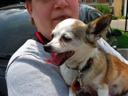 thumbnail of "Betsy And Coco Outside The Hospital - 4"