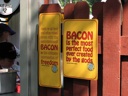 Thumbnail of Image- Big Fat Bacon Quotes - 1