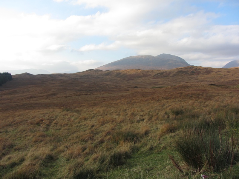 View Near Loch Tulla - 1