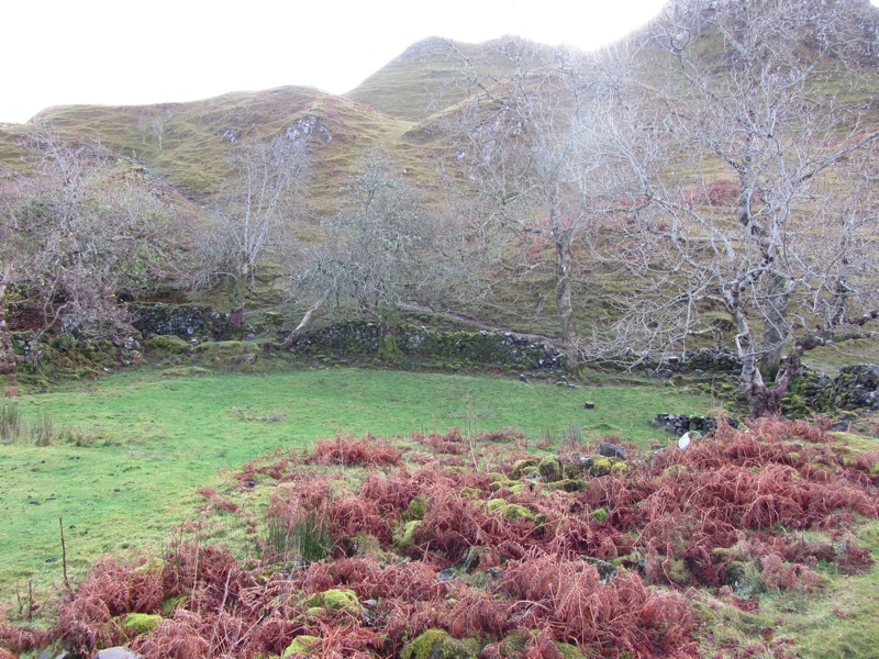 Fairy Glen - 1