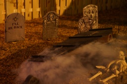 Thumbnail of Image- Backyard Graveyard