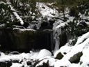thumbnail of "Ice on LeConte Creek"