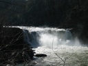 Thumbnail of Image- Cumberland Falls - 5