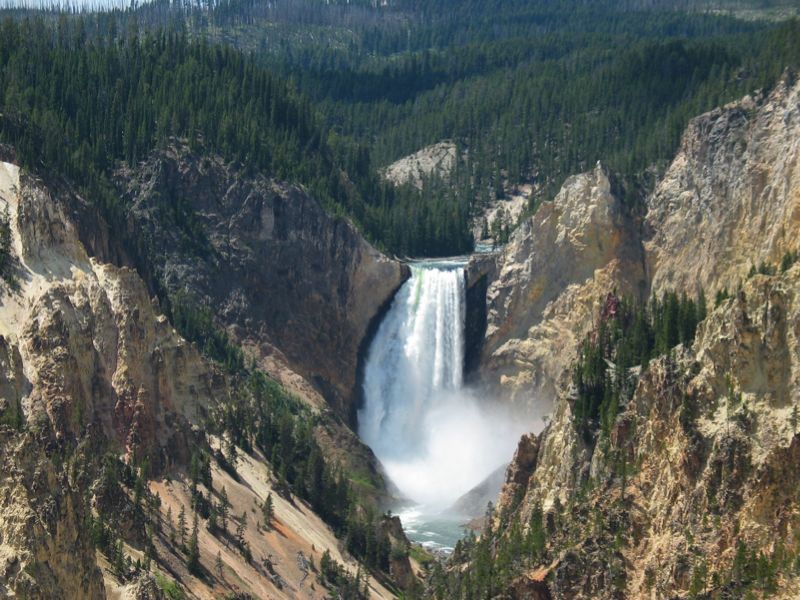 Lower Falls of Yellowstone - 37