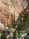 thumbnail of "Lower Falls of Yellowstone - 32"