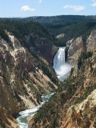 thumbnail of "Lower Falls of Yellowstone - 35"