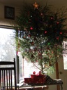 thumbnail of "Sunny Christmas Tree"