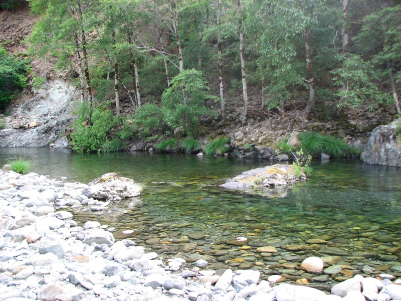 Creek At The Resort - 3