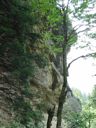 thumbnail of "Alum Cave Bluffs - 1"