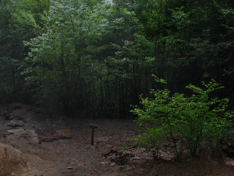 Rain On An Alum Cave Bluff Signpost
