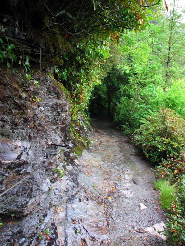 Wet Trail Above Alum Cave