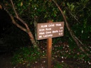 thumbnail of "Alum Cave Trail Sign"