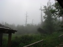 thumbnail of "Fog Over The Cabins"