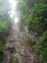 thumbnail of "Misty Trail - 08"