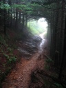 thumbnail of "Misty Trail - 11"