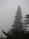 thumbnail of "Misty View From The Alum Cave Trail - 13"