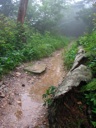 thumbnail of "Nearing The End Of The Alum Cave Trail - 03"