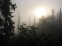 thumbnail of "Sun Through The Fog - 1"