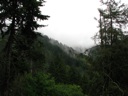 thumbnail of "View From Alum Cave Trail"