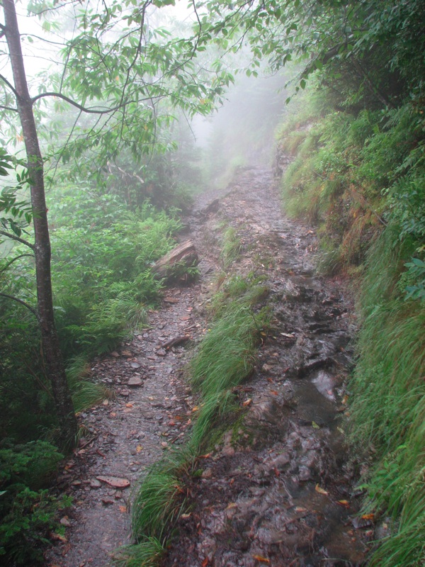 Misty Trail - 09
