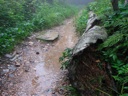 thumbnail of "Nearing The End Of The Alum Cave Trail - 02"