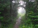 thumbnail of "Nearing The End Of The Alum Cave Trail - 38"