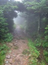 thumbnail of "Nearing The End Of The Alum Cave Trail - 39"