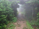 thumbnail of "Nearing The End Of The Alum Cave Trail - 40"