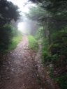 thumbnail of "Nearing The End Of The Alum Cave Trail - 42"