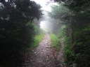 thumbnail of "Nearing The End Of The Alum Cave Trail - 43"
