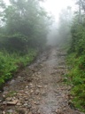 thumbnail of "Water By The Trail - 2"