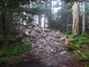 thumbnail of "LeConte Peak 2008"