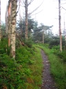 thumbnail of "Trail Back From Myrtle Point - 05"