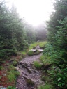 thumbnail of "Trail Back From Myrtle Point - 07"