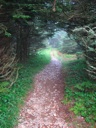 thumbnail of "Trail Back From Myrtle Point - 09"