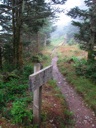 thumbnail of "Trail Back From Myrtle Point - 10"