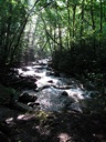 thumbnail of "Creek Along The Alum Cave Bluffs Trail - 06"