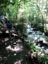 thumbnail of "Creek Along The Alum Cave Bluffs Trail - 07"
