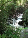 thumbnail of "Creek Along The Alum Cave Bluffs Trail - 08"